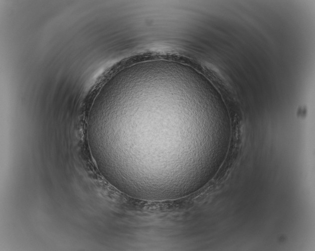 X0000111240776200907091358