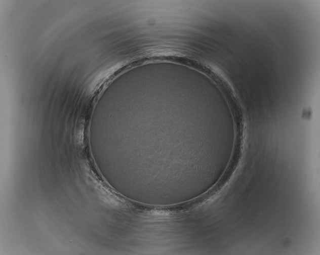 X0000111240777200907091358