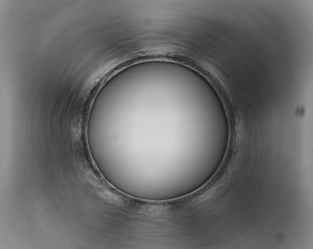 X0000111240778200907091358