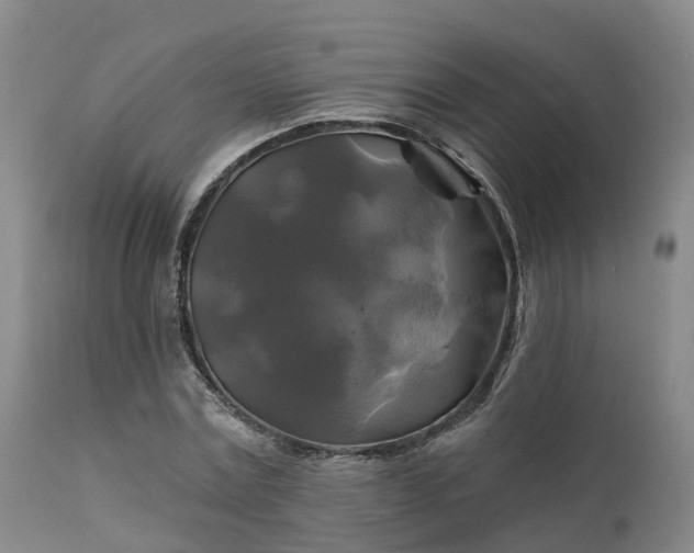 X0000111240779200907091358