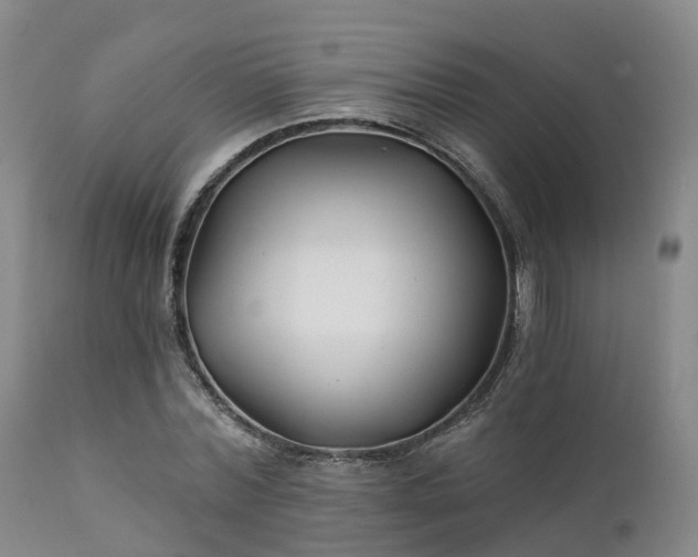 X0000111240780200907091358