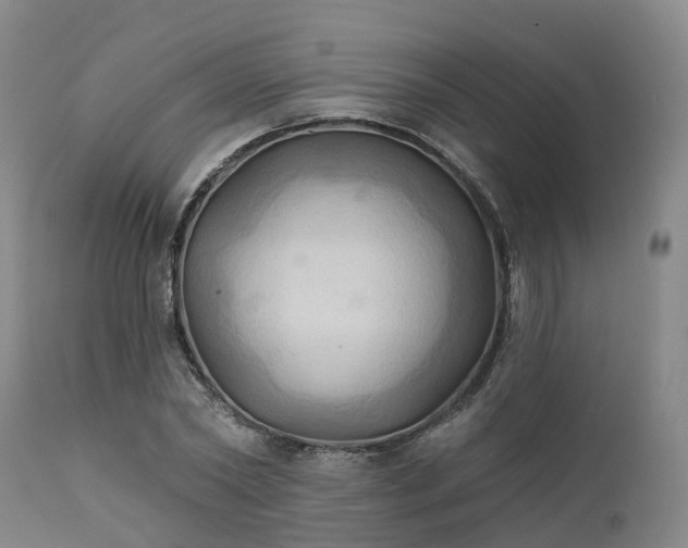 X0000111240782200907091358