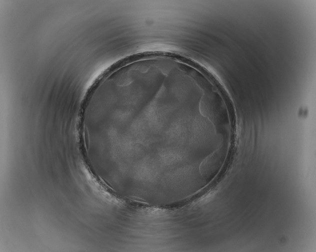 X0000111240783200907091358