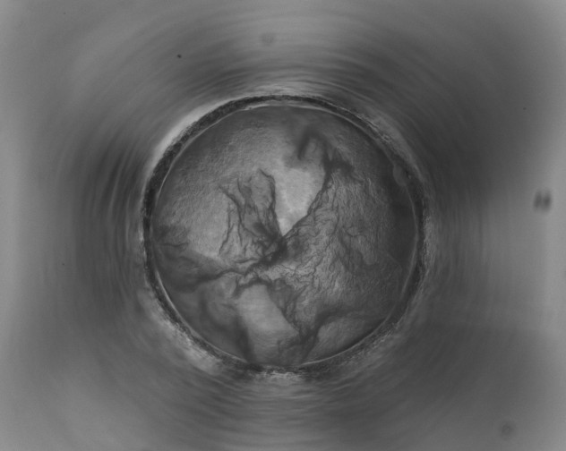 X0000111240784200907091358