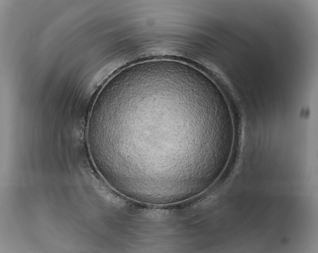 X0000111240785200907091358