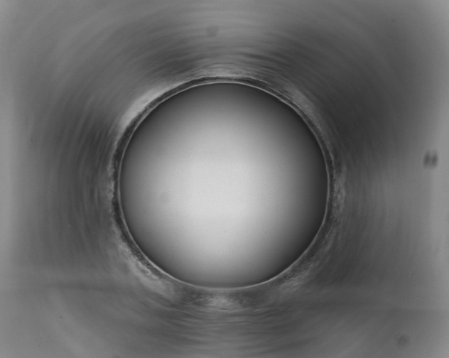 X0000111240787200907091358