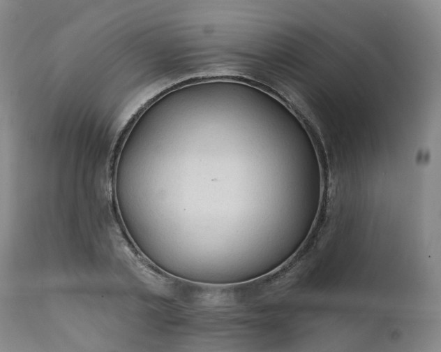 X0000111240789200907091358