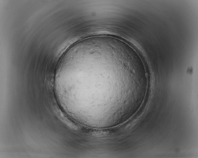 X0000111240793200907091358