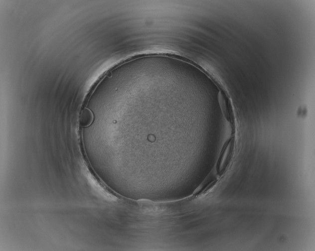 X0000111240797200907091358