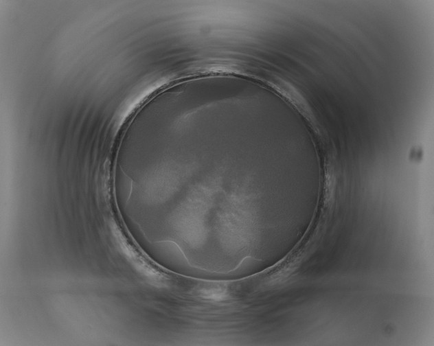 X0000111240798200907091358