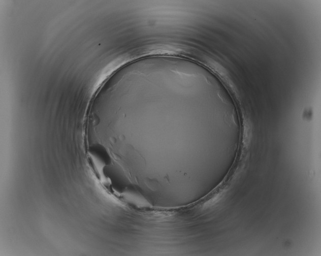 X0000111240802200907091358