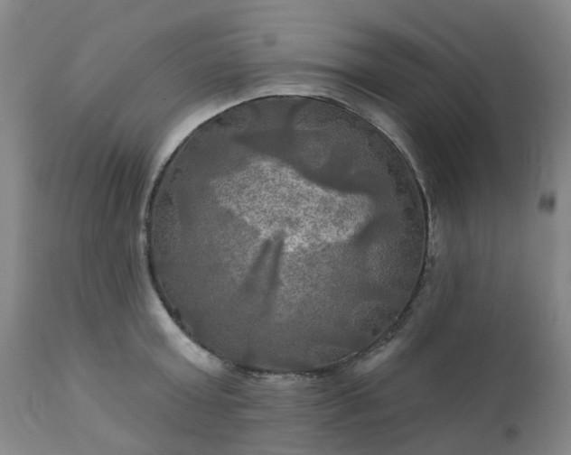 X0000111240803200907091358