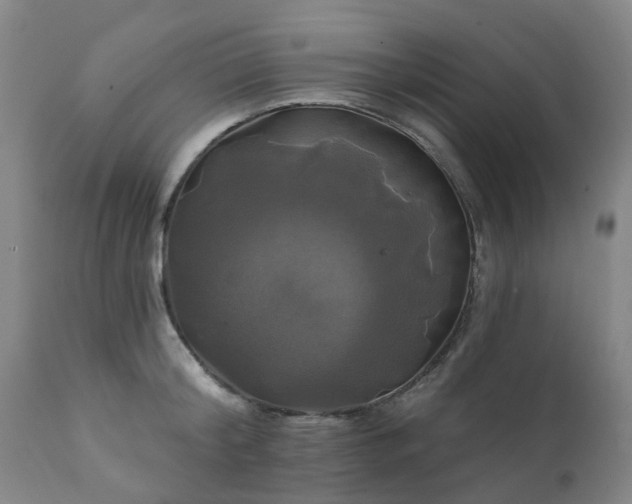 X0000111240804200907091358