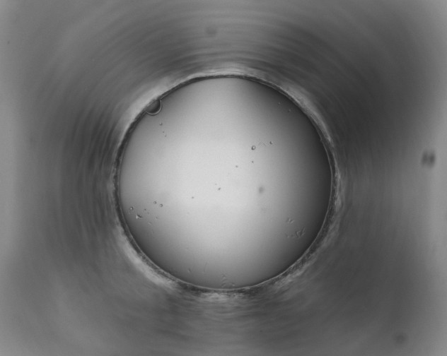 X0000111240805200907091358