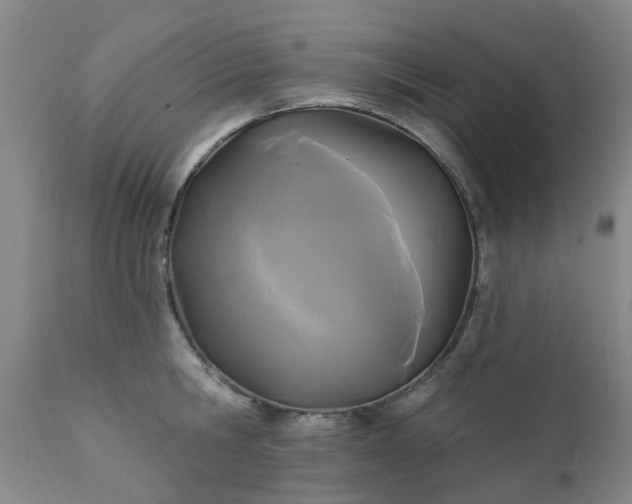 X0000111240806200907091358