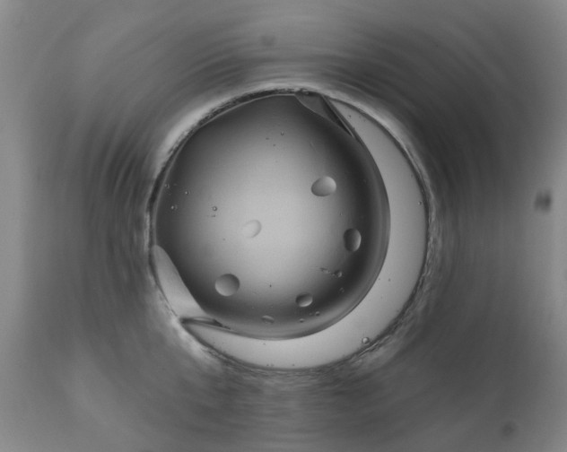 X0000111240807200907091358