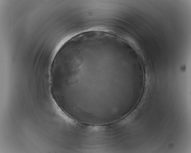 X0000111240808200907091358