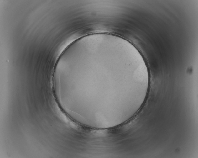 X0000111240810200907091358