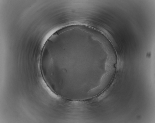 X0000111240812200907091358