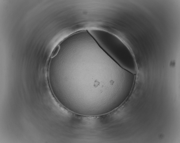 X0000111240813200907091358