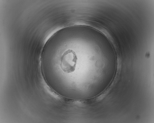 X0000111240814200907091358