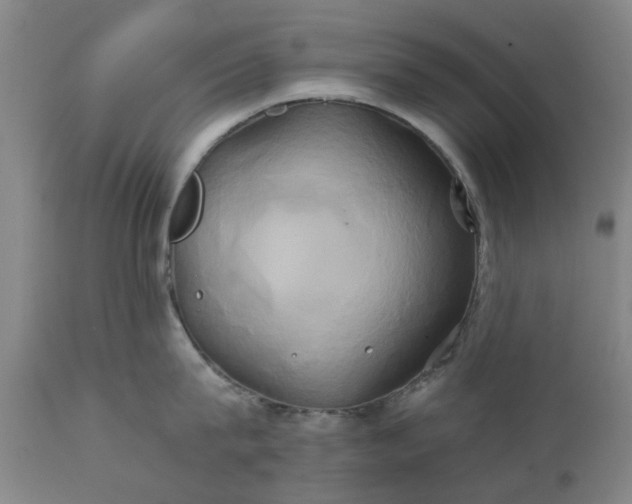 X0000111240815200907091358