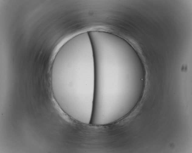 X0000111240816200907091358