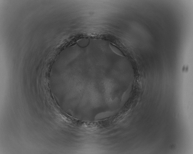 X0000111240817200907091357