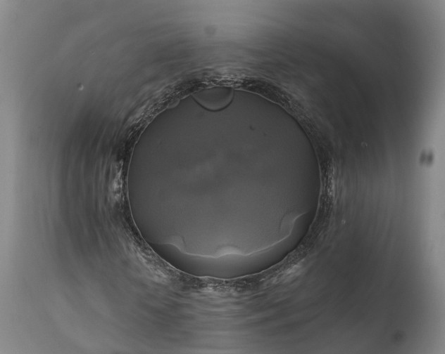 X0000111240818200907091357