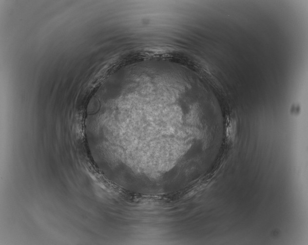 X0000111240819200907091357