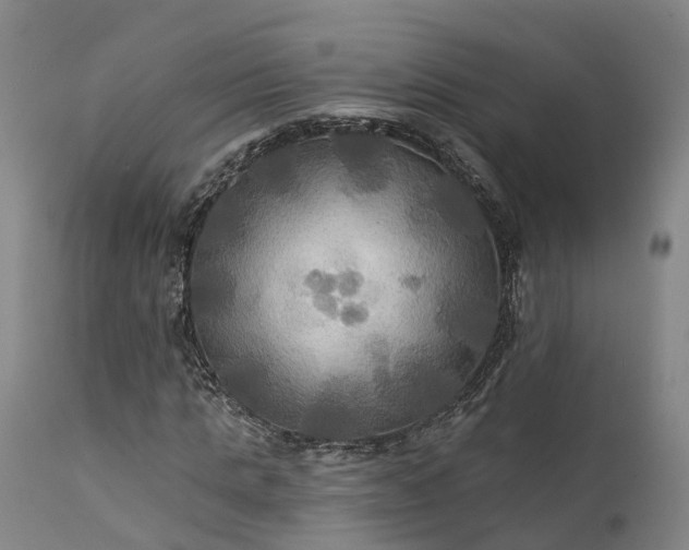 X0000111240821200907091357