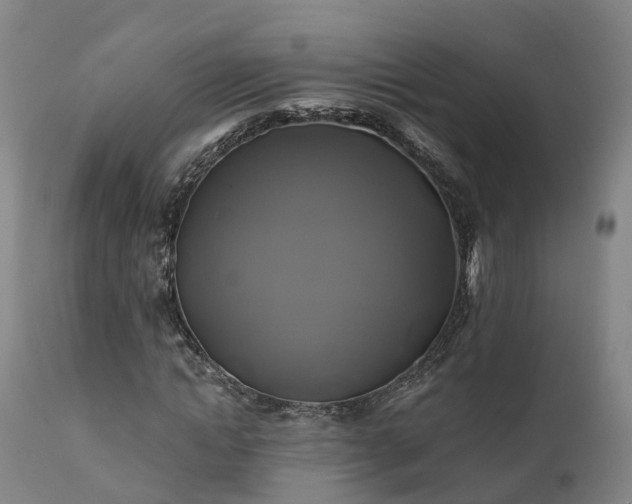 X0000111240822200907091357