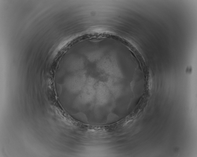 X0000111240823200907091357