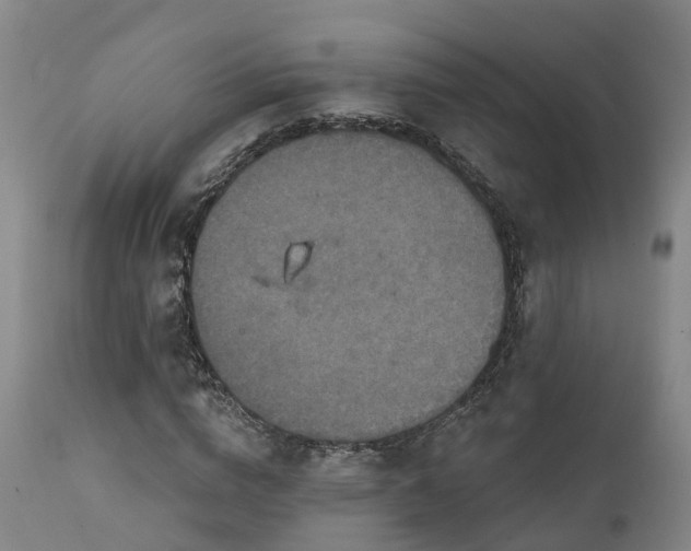 X0000111240824200907091357