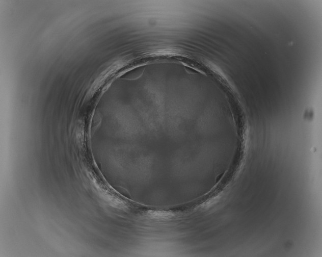 X0000111240825200907091357