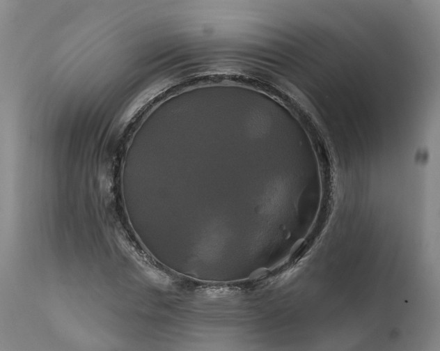 X0000111240826200907091357