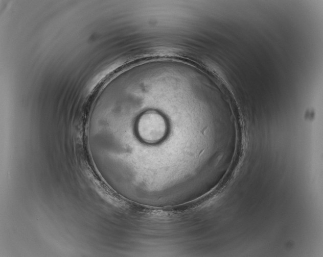 X0000111240827200907091357