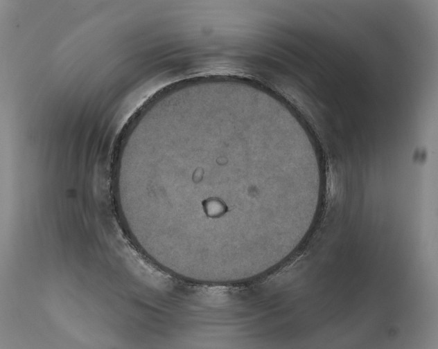 X0000111240828200907091357