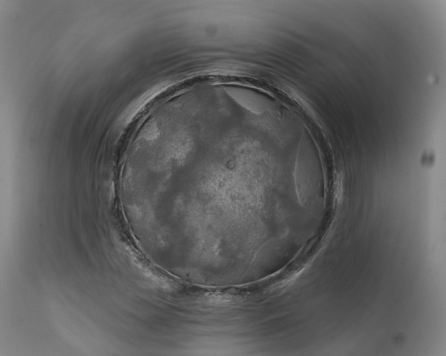 X0000111240829200907091357