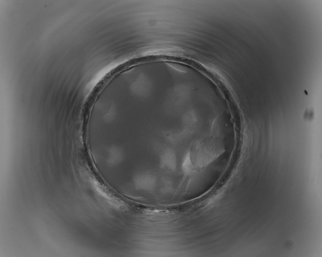 X0000111240830200907091357