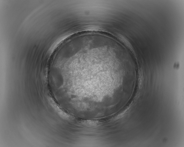 X0000111240831200907091357