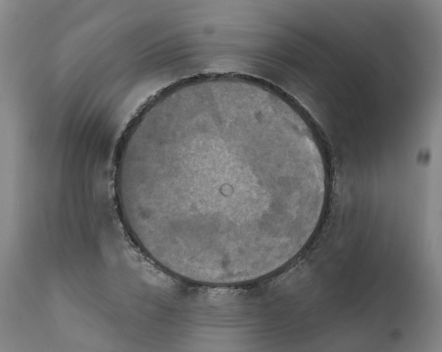 X0000111240832200907091357