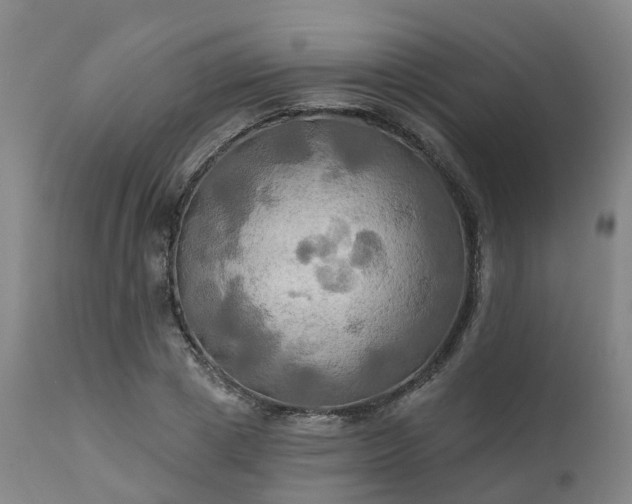 X0000111240833200907091357