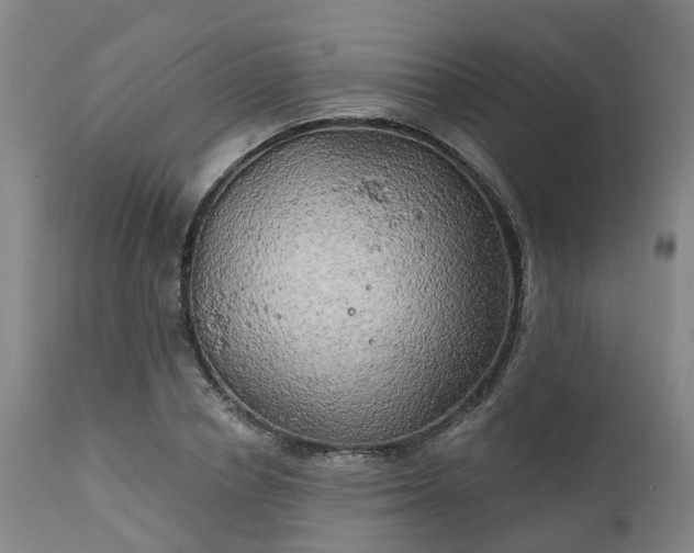 X0000111240834200907091357