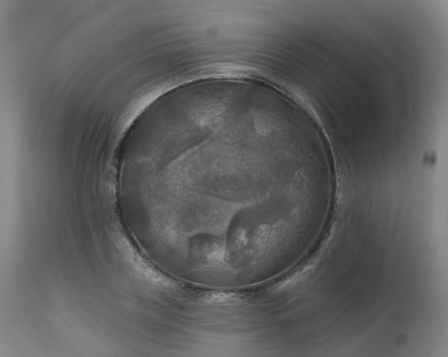 X0000111240835200907091357