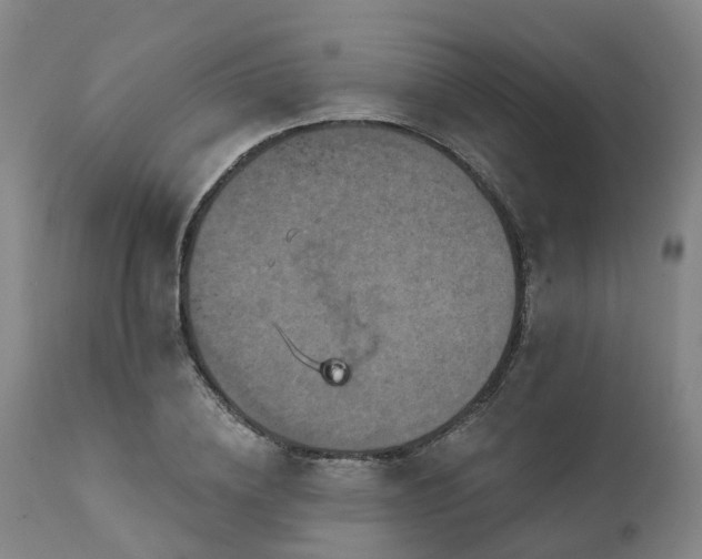 X0000111240836200907091357