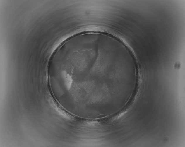 X0000111240837200907091357