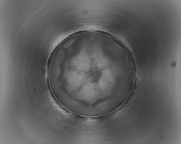 X0000111240839200907091357