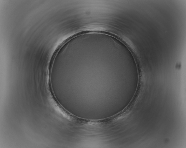 X0000111240840200907091357