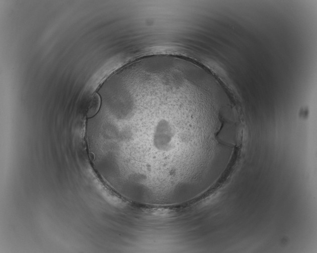 X0000111240841200907091357